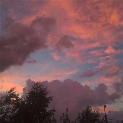 云顶集团手机app下载