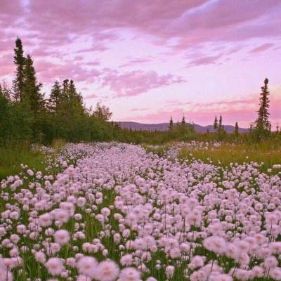 买球的app排行榜前十名推荐